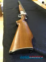 Savage 24 E-DL 20ga22 mag