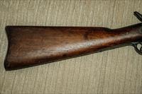 Springfield 1884 Trap Door with mint bore Img-7