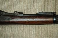 Springfield 1884 Trap Door with mint bore Img-9