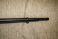Springfield 1884 Trap Door with mint bore Img-19