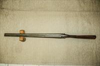 F.W. Harrold 12 Gauge Hammer Antique Shotgun English Img-3