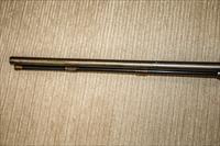 F.W. Harrold 12 Gauge Hammer Antique Shotgun English Img-11