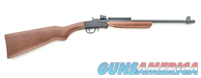 Chiappa Firearms Little Badger 8053670715905 Img-1