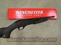 Winchester   Img-6