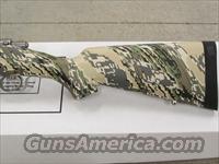 Kimber Model 84M Mountain Ascent Stainless.308 Winchester