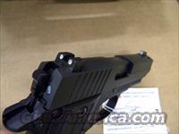 SIG SAUER P238 NITRON W/NITE SIGHTS #238-380-BSS