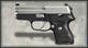 Sig Sauer P224 Nickel .40 S&W