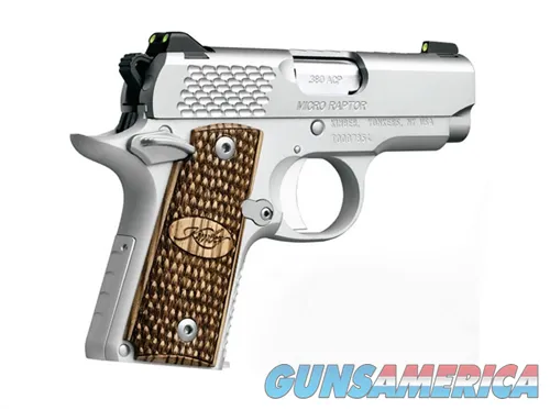 Kimber Micro Raptor Stainless .380 ACP 2.75" 6 Rounds 3300084