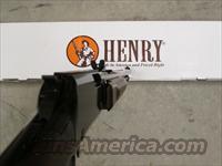 Henry Pump-Action Octagon Barrel .22 Short, Long & LR