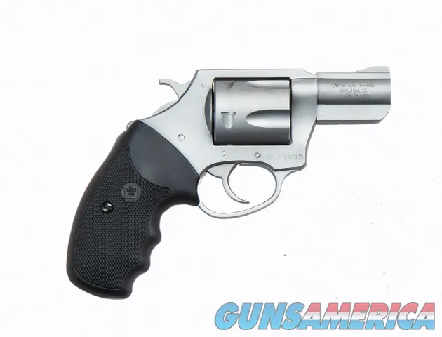 Charter Arms Pit Bull 9mm Revolver 2.2" Matte Stainless 5 Rounds 79920