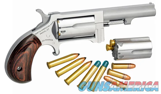 NAA Sidewinder Conversion .22 Magnum / .22 LR 2.5" SS Birdshead NAA-SWC-250