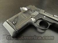 Sig Sauer   Img-3