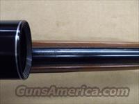 Winchester Model 70 XTR .300 Weatherby Magnum