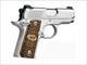 Kimber Micro Raptor Stainless .380 ACP 2.75" 3300084 