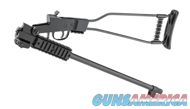 Chiappa Firearms Little Badger 8053670712072 Img-2