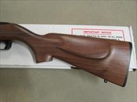 Ruger 10/22 Gator Country TALO Exclusive .22 LR 21106 Img-4