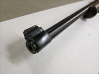 Ruger 10/22 Gator Country TALO Exclusive .22 LR 21106 Img-7