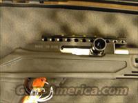 Magnum Research Magnum Lite® Tactical Semi-Auto .22LR Graphite