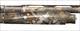 Benelli Super Black Eagle 3 Optifade Timber 12 GA 28" 10361