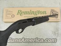 remington   Img-6