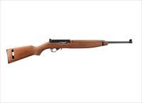 CZ-USA 455 Training Rifle .22 LR 24.8" Beechwood 5 RD 02100