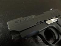 Sig Sauer P238 Nitron Sport .380 ACP/AUTO Night Sights