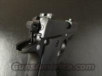 Sig Sauer P238 Nitron Sport .380 ACP/AUTO Night Sights