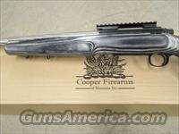 Cooper Arms   Img-2