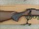 Remington Model 700 SPS .300 Win. Mag Wood Tech