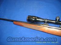 Winchester Model 70 XTR Sporter 300 Weatherby Mag Img-3