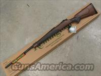 Remington Model 700 SPS .300 Win. Mag Wood Tech Img-2