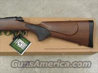 Remington Model 700 SPS .300 Win. Mag Wood Tech Img-3