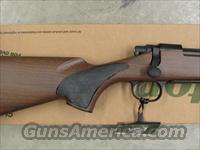 Remington Model 700 SPS .300 Win. Mag Wood Tech Img-4