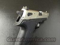Sig Sauer Mosquito Two-Tone .22 LR MOS-22-T