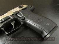 Sig Sauer Mosquito Two-Tone .22 LR MOS-22-T
