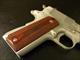 Colt Series 70 1911 Stainless Government .45ACP