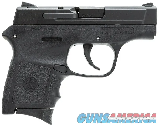 Smith &amp; Wesson M&amp;P Bodyguard 380 .380 ACP 2.75" 6 Rds 109381