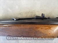1956 Winchester Model 71 Deluxe Lever-Action .348 Winchester Img-5