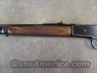 1956 Winchester Model 71 Deluxe Lever-Action .348 Winchester Img-6
