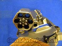 CHIAPPA WHITE RHINO 60DS