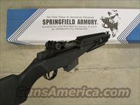 Springfield Armory   Img-10