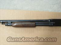 Winchester 80568  Img-4
