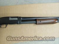 Winchester 80568  Img-6