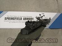 Springfield Armory   Img-4