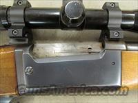 Savage Model 99E Lever-Action .243 Winchester