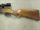 Savage Model 99E Lever-Action .243 Winchester