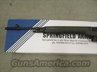 Springfield Armory   Img-5