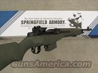 Springfield Armory   Img-8