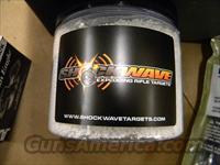 AR15 RANGE KIT .223 AMMO MAGPUL MAGS AND AMMO CAN