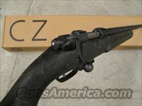CZ-USA CZ 527 Varmint Target .204 Ruger